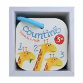 Counting Learn in a Flash - Ignited Minds