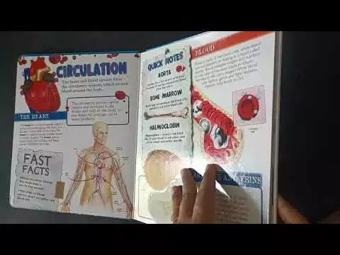 MAMMOTH FACTS HUMAN BODY